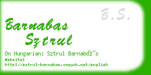 barnabas sztrul business card